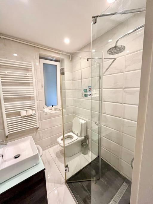 Apartment Lovely Victoriei *