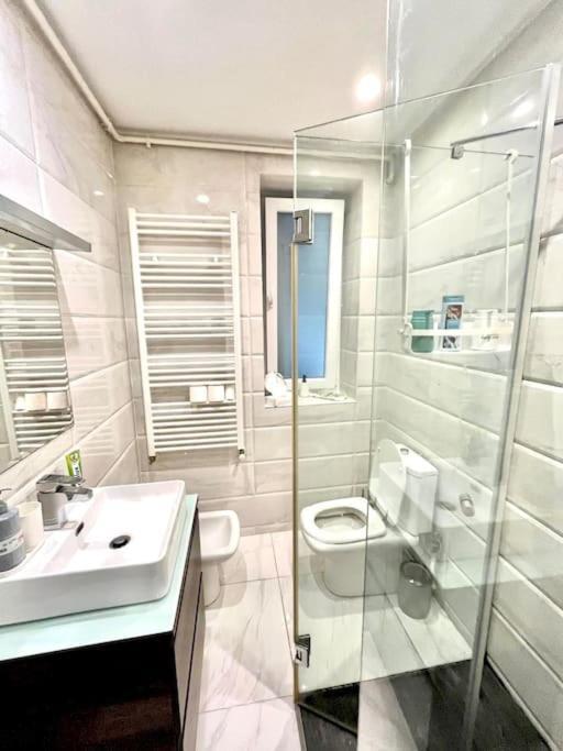 Lovely Victoriei Apartment Bukarest